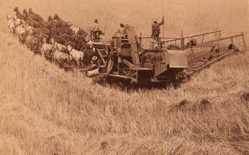 This image has an empty alt attribute; its file name is 800px-Combine_harvester_pulled_by_33_horses_Walla_Walla_ca._1902_b.jpg